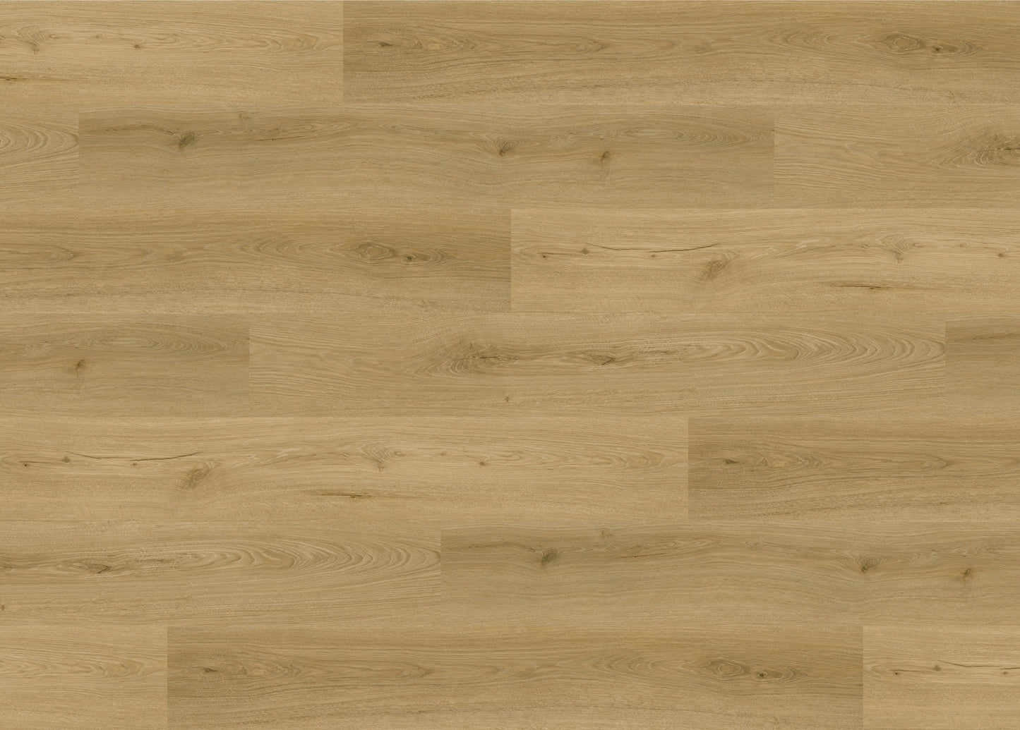 RMV160X220