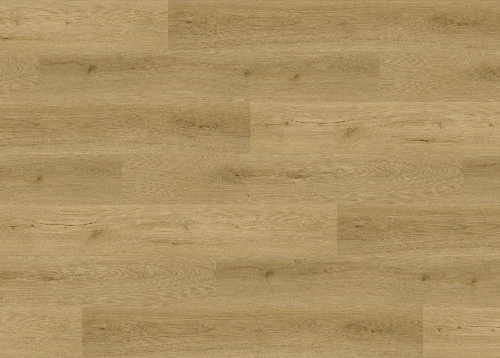 RMV160X220