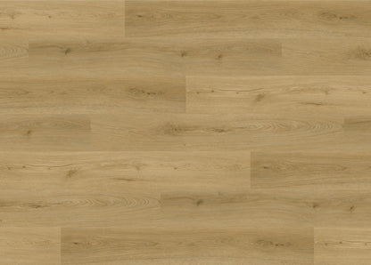 RMV160X220