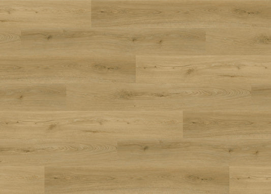 RMV160X220
