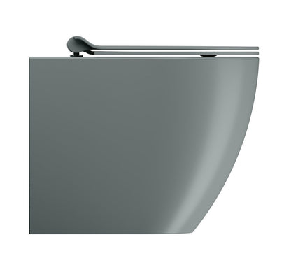 PURA Vas WC, Swirlflush, 36x55cm, S-trap/P-trap, agave dual-mat