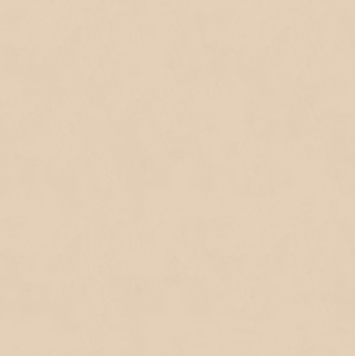 RMV250X250