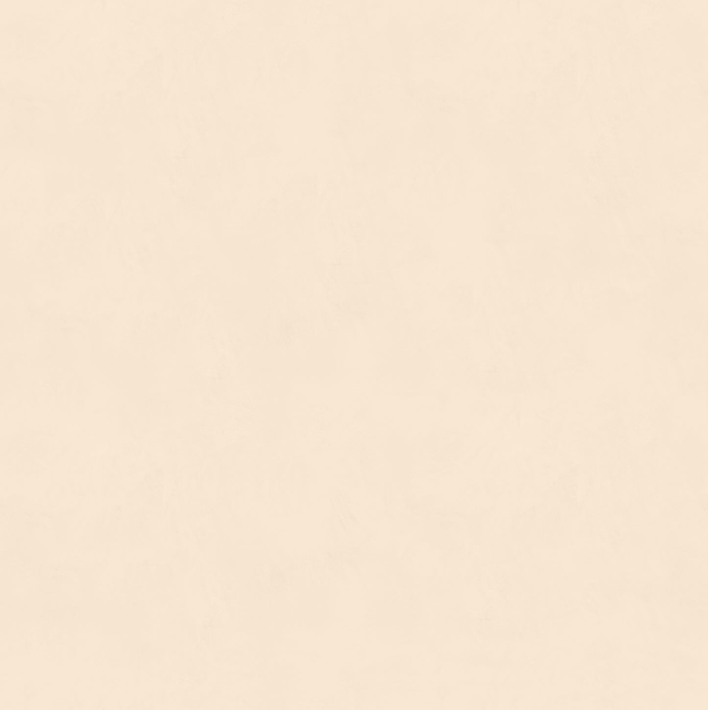 RMV250X250