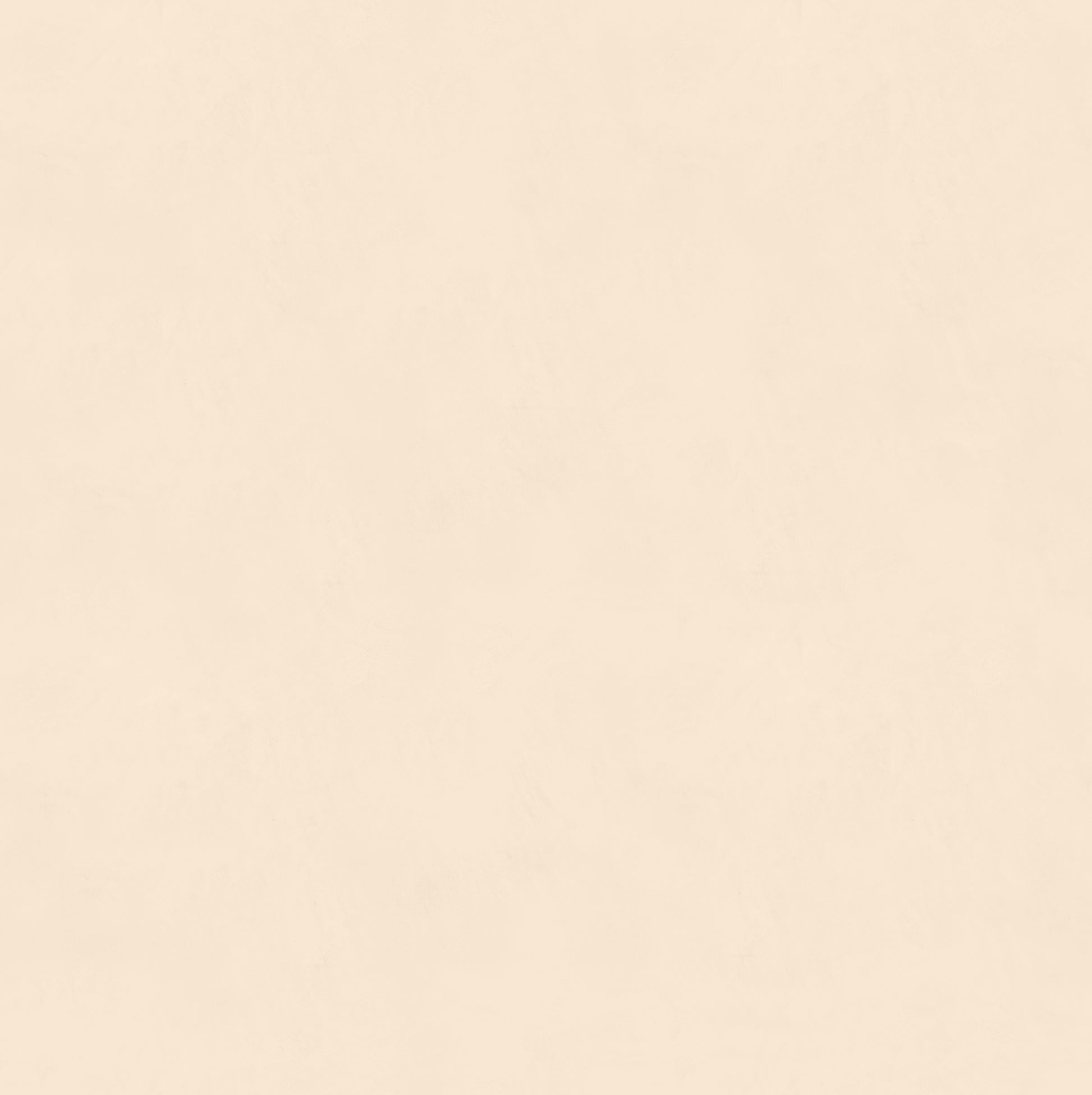 RMV250X250