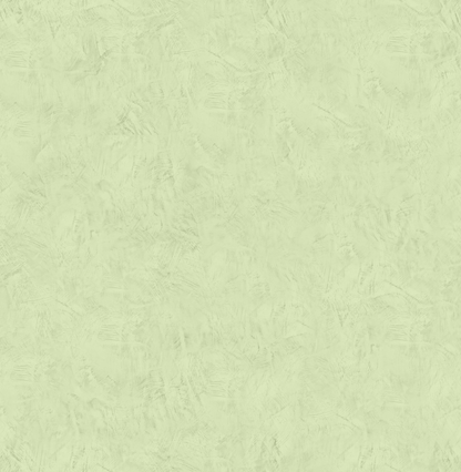 Antica Calce PLUS T-Colore Cinque