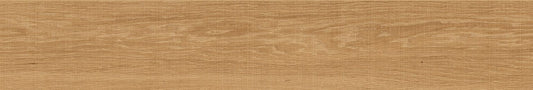 AUTHENTIC IMPULSE 20X120