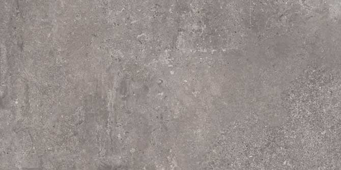 BORGONA GRIS RMV60x120