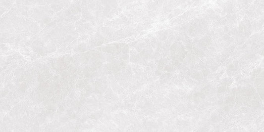 CAPITOLINA ASH RMV29.2x59.2