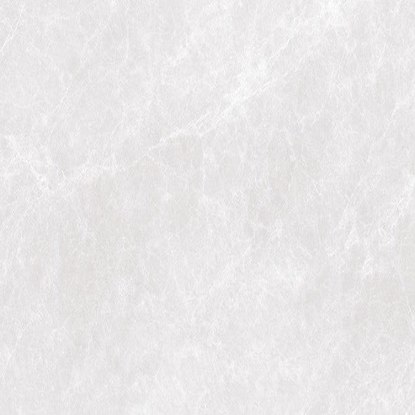 CAPITOLINA ASH RMV59.2x59.2