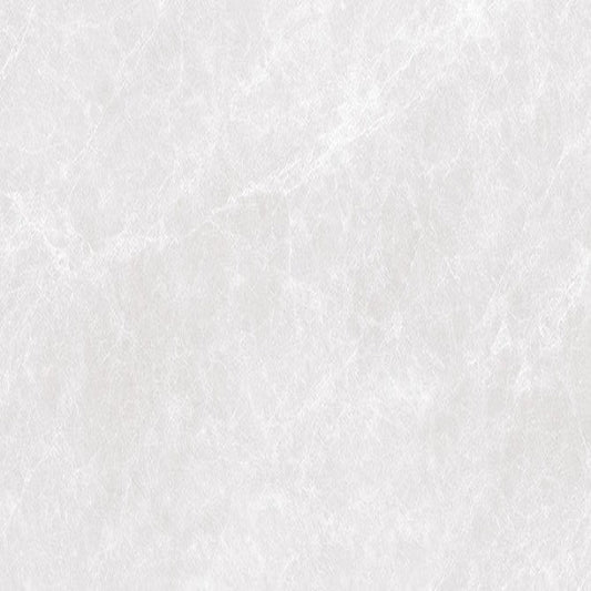 CAPITOLINA ASH RMV59.2x59.2