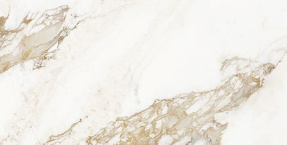CALACATTA GOLD RMV60x120