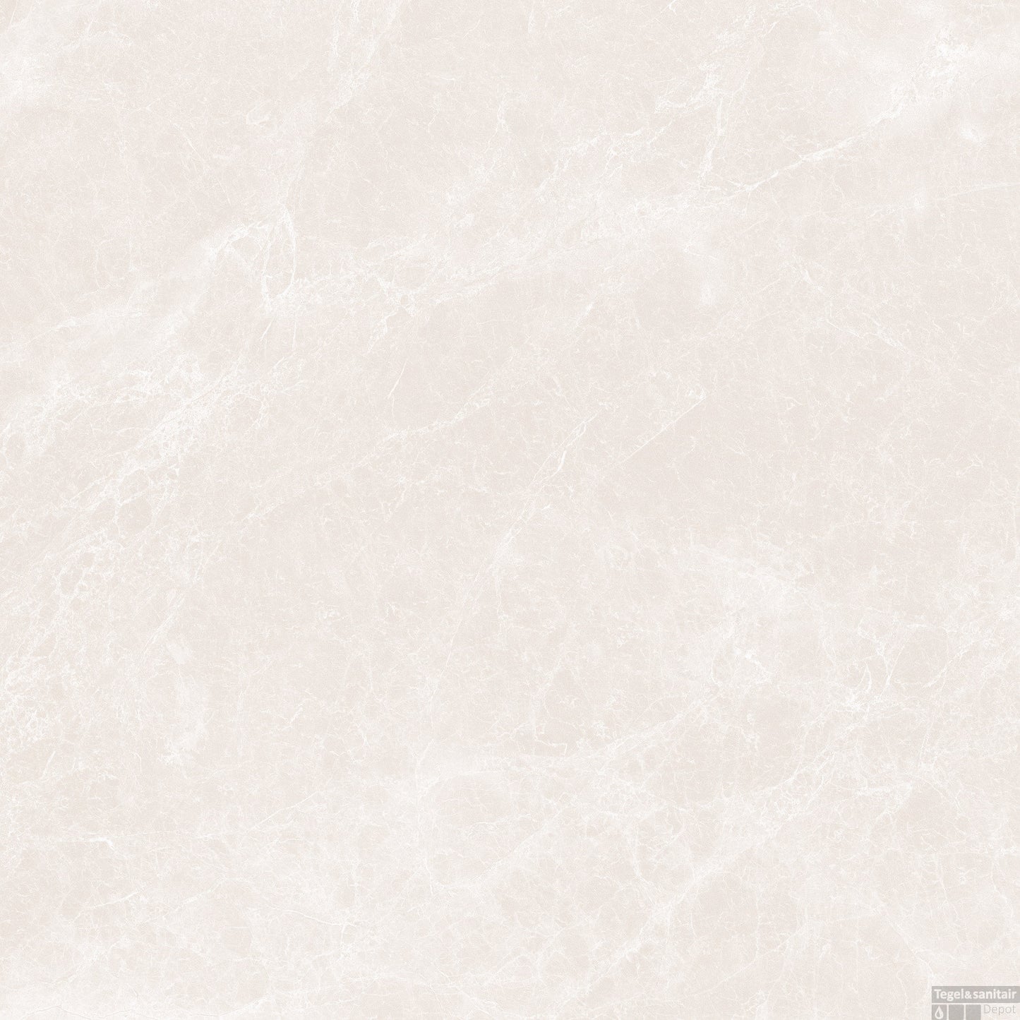 CAPITOLINA IVORY RMV59.2x59.2