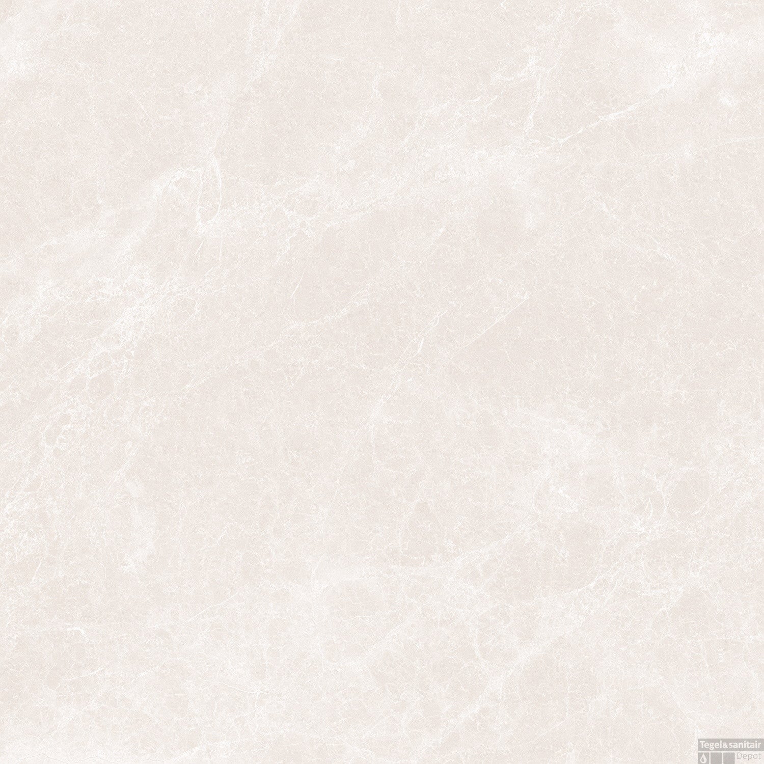 CAPITOLINA IVORY RMV59.2x59.2