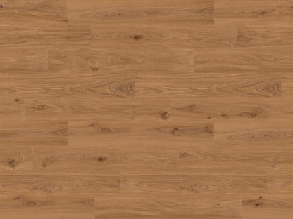 RMV180X240