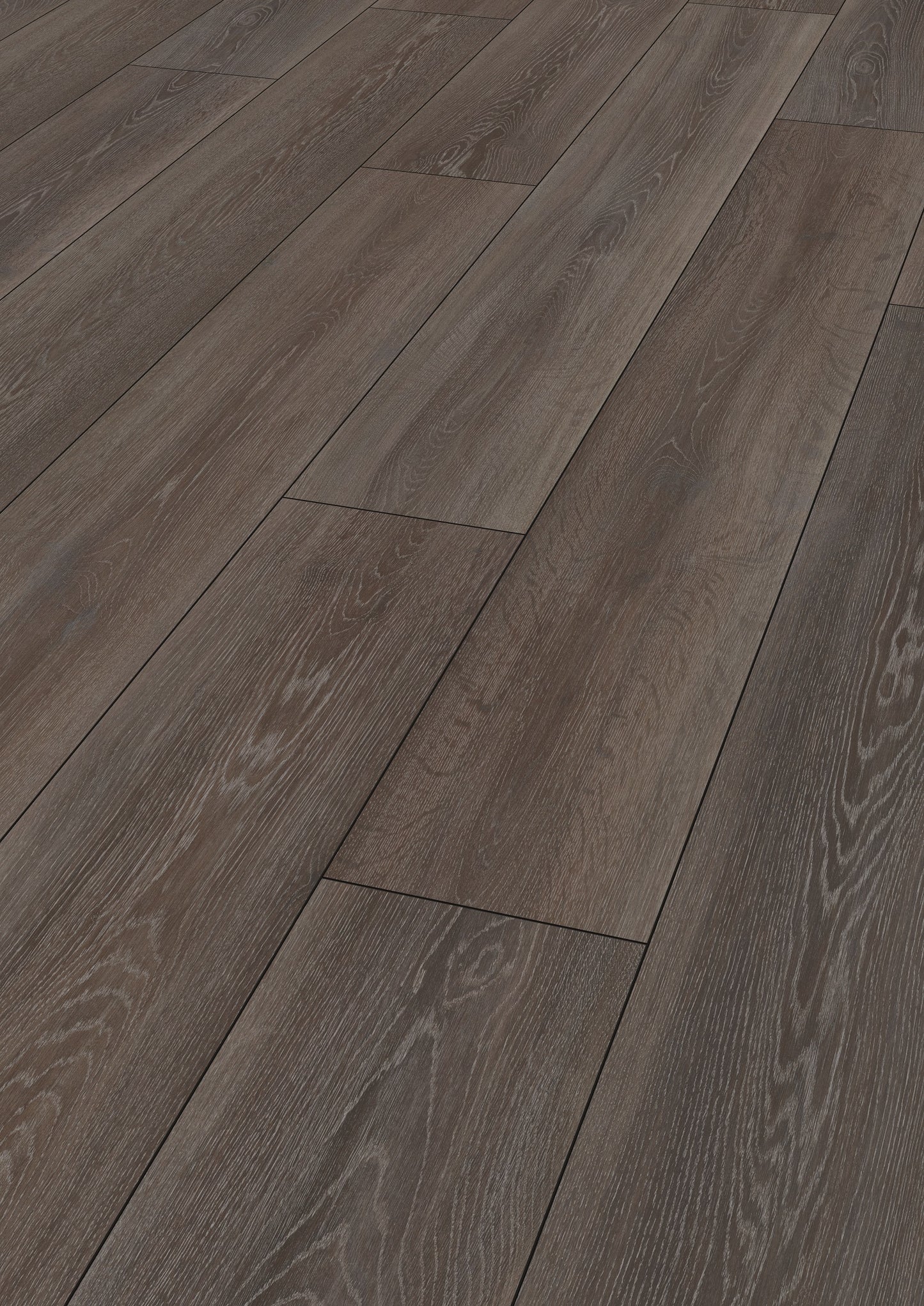 EXQUISIT  Stirling Oak D2804