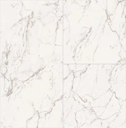 SPC STONE Carrara Marble D2921 RMV80X80