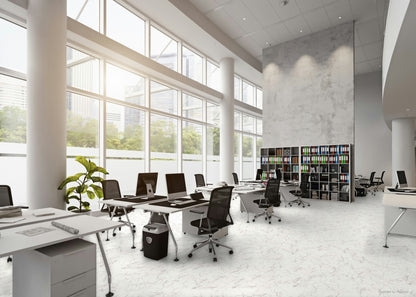 SPC STONE Carrara Marble D2921