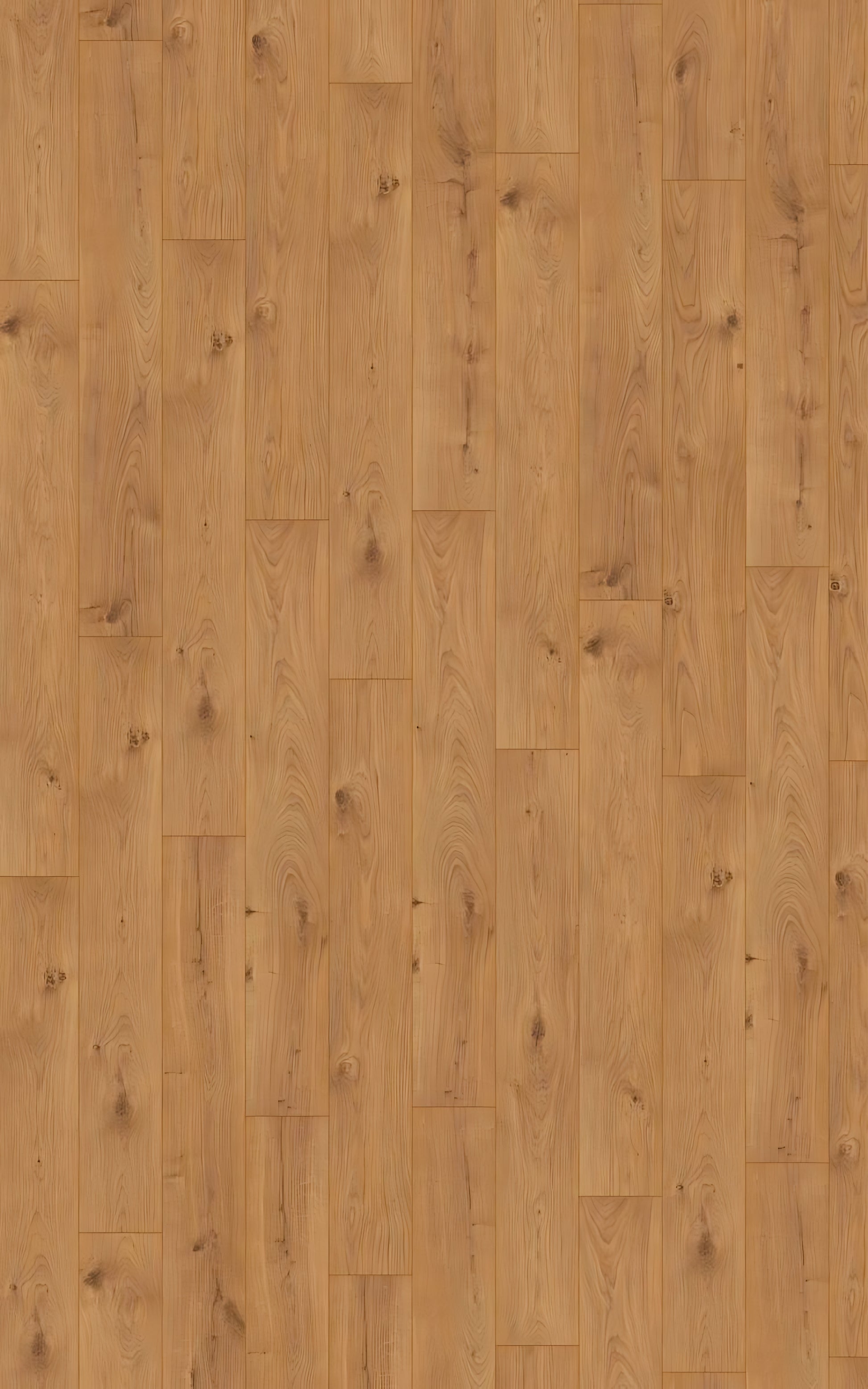 EXQUISIT  Atlas Oak Nature D3224 RMV200X320