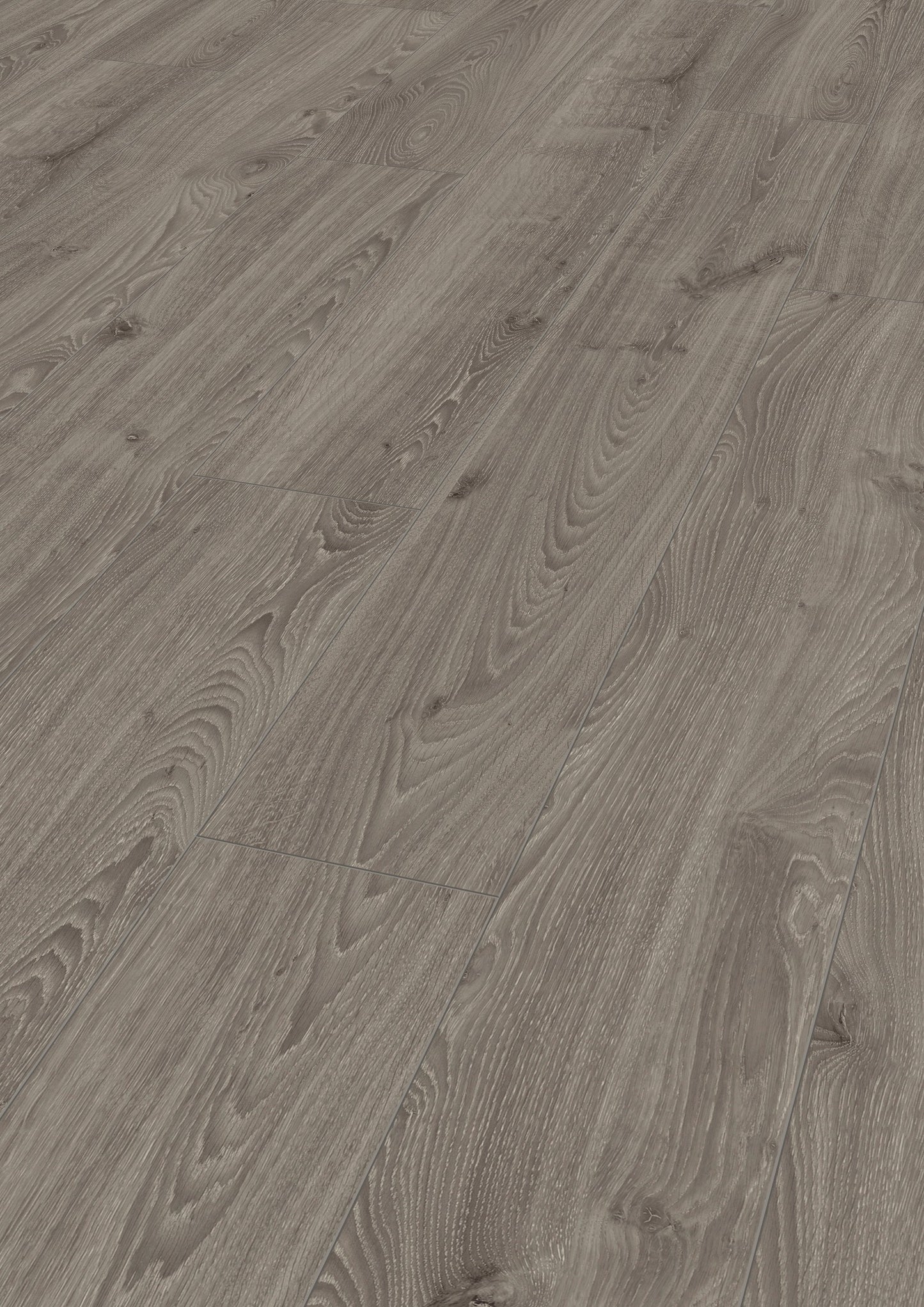 ROBUSTO Timeless Oak Grey D3571