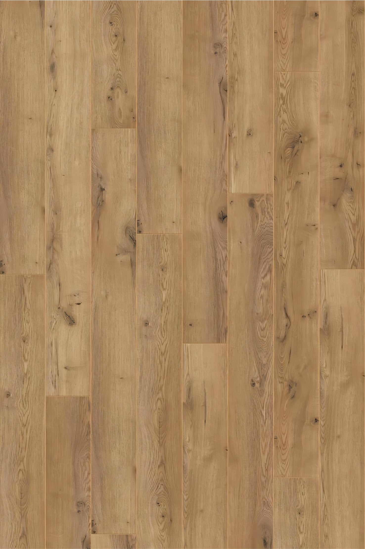 AMAZONE Oak Dezent D3668 RMV125X188