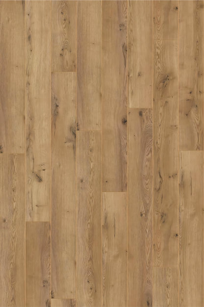 AMAZONE Oak Dezent D3668 RMV125X188