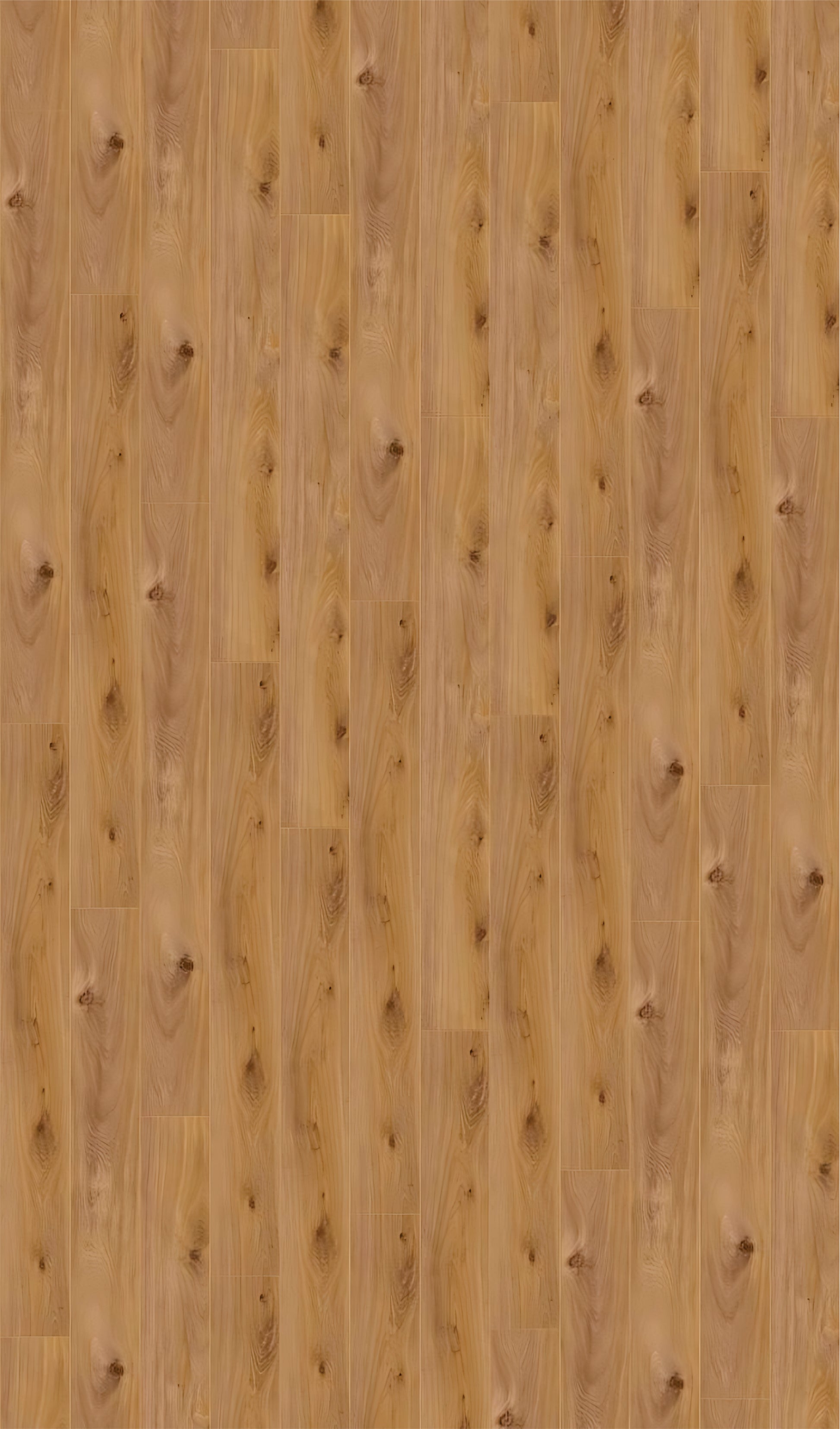 AMAZONE Prestige Oak Light D4169 RMV188X320