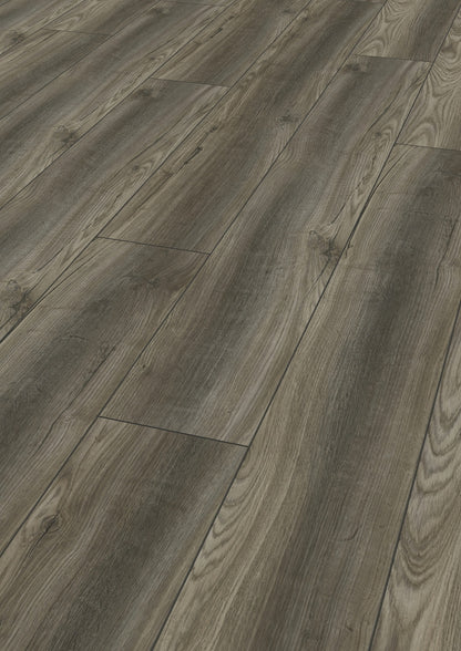 ROBUSTO Port Oak Titan D4610