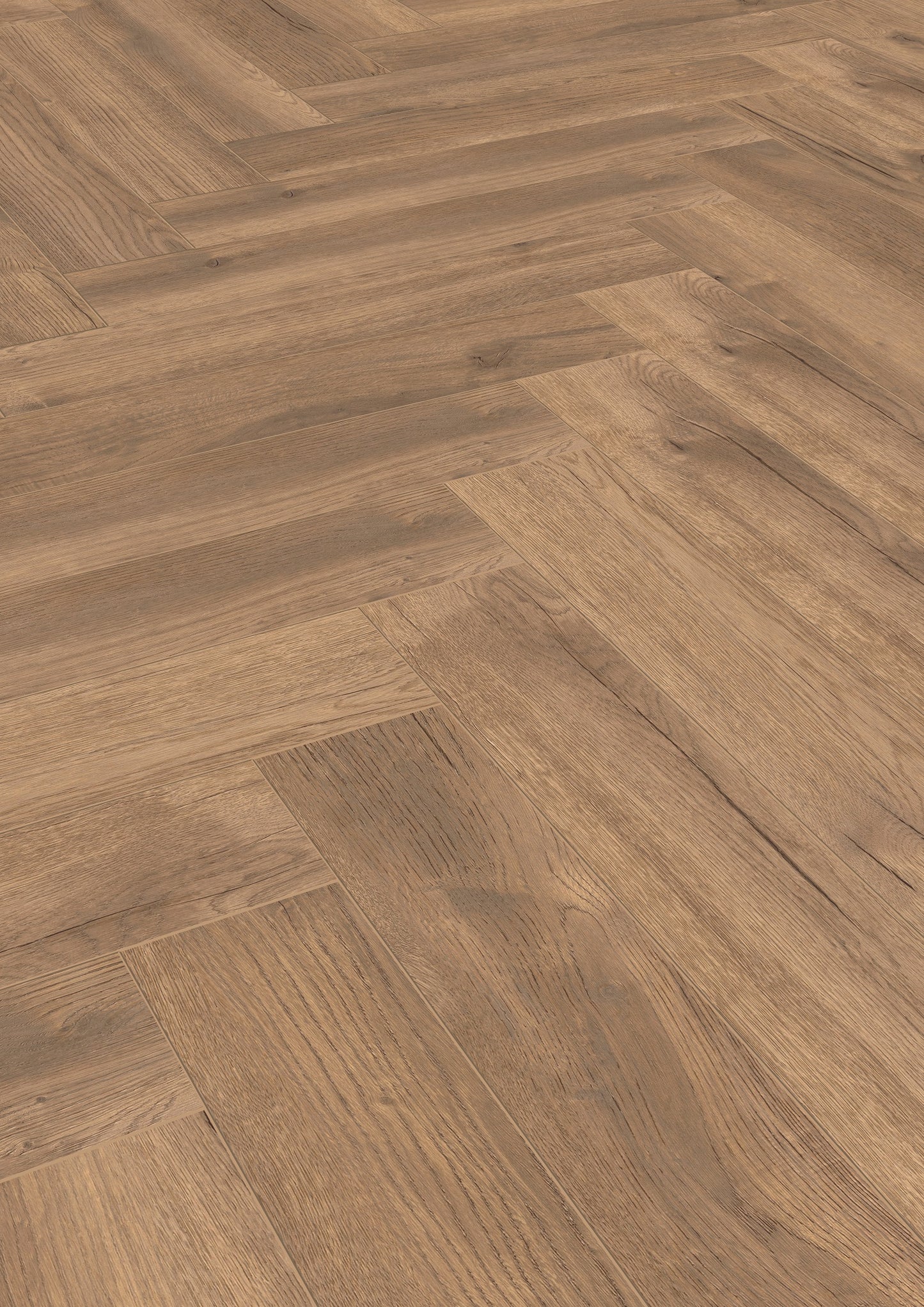 HERRINGBONE Treviso Oak D4764