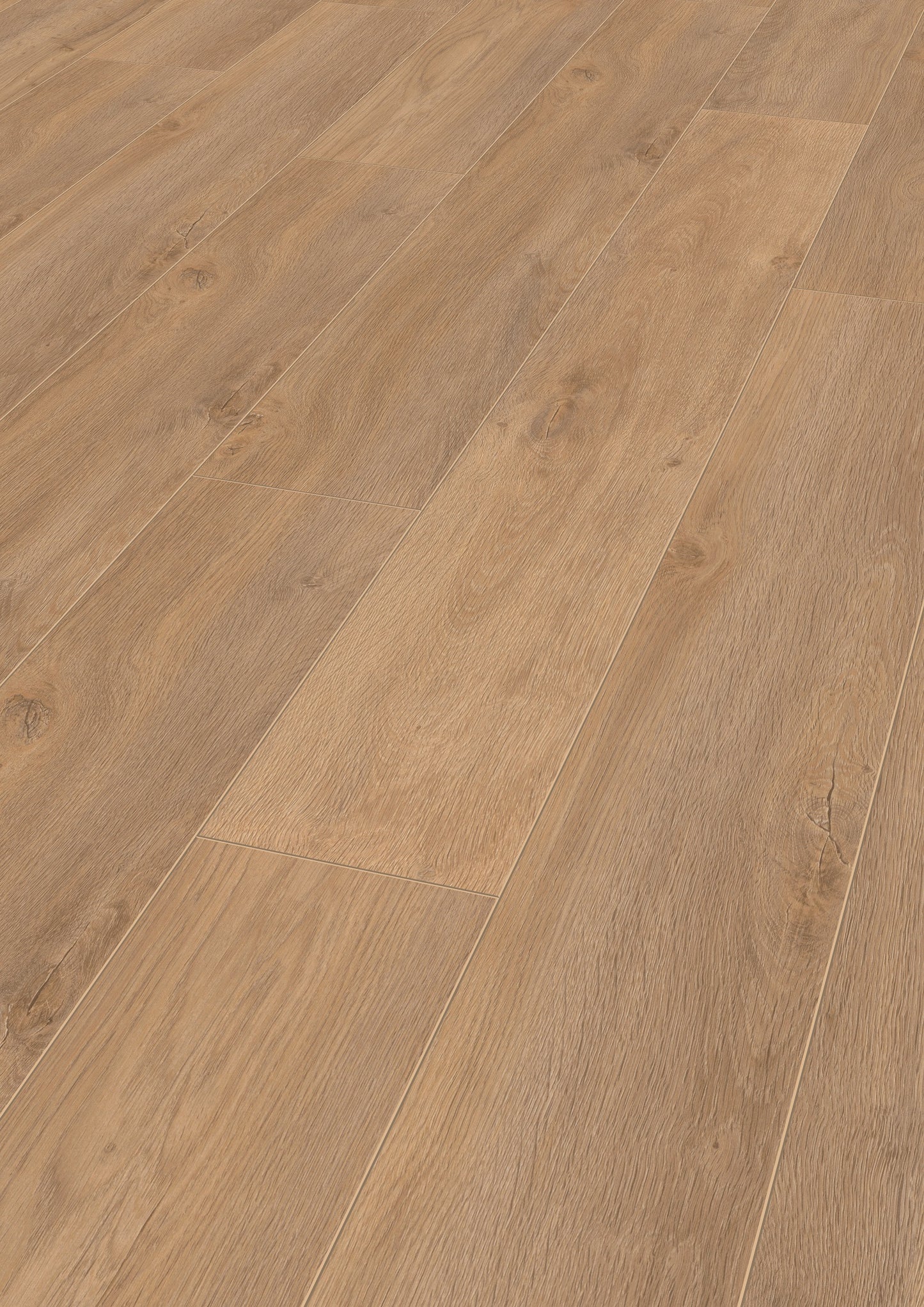 ROBUSTO Premium Oak D4954