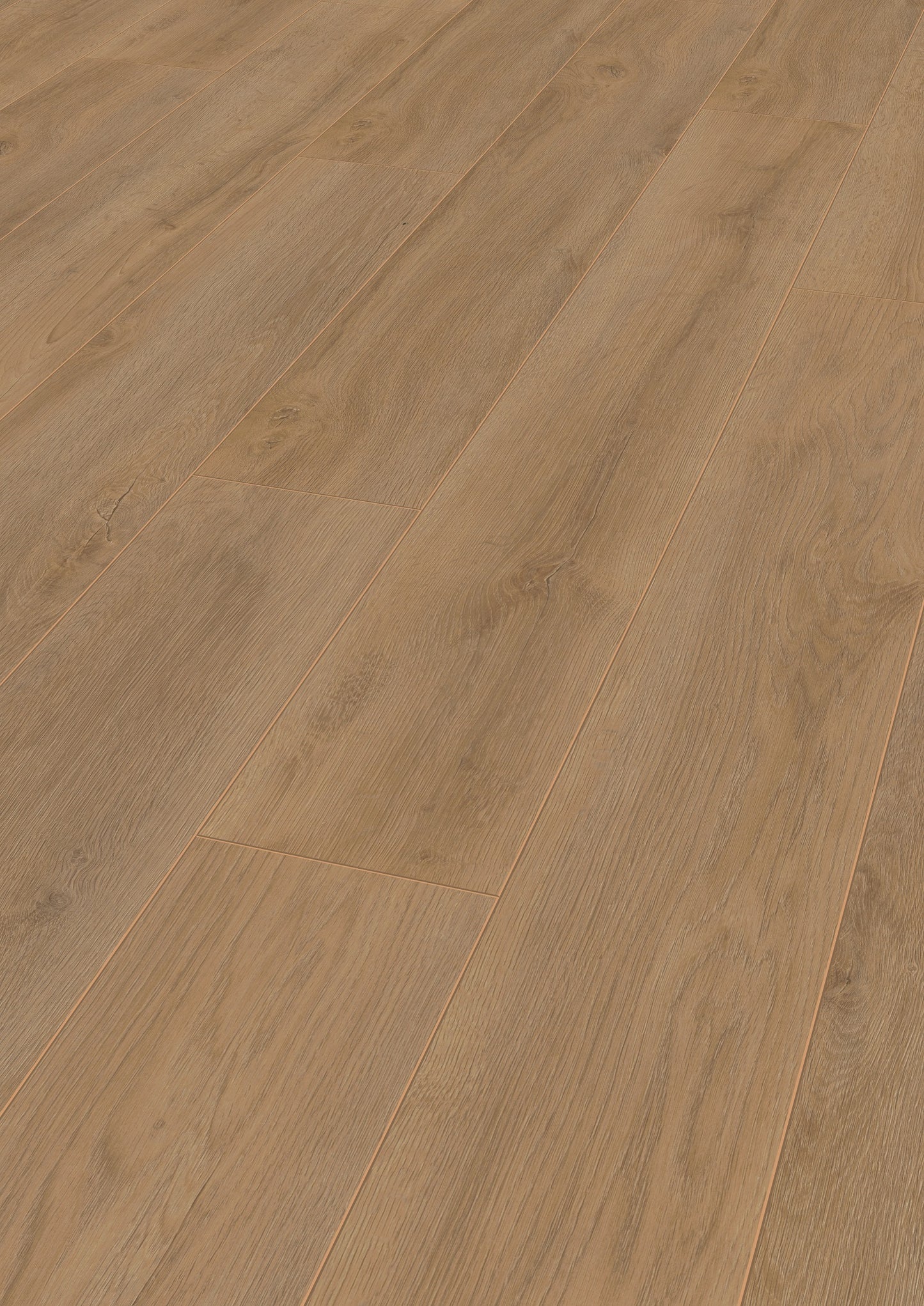 ROBUSTO Premium Oak Nature D4955