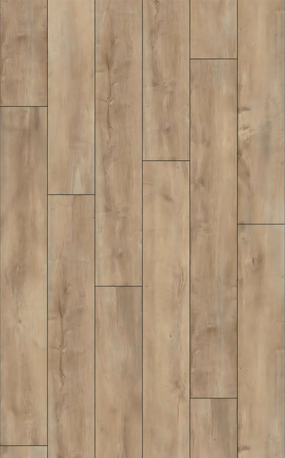 EXQUISIT  Oriental Oak Beige D4982 RMV115X185