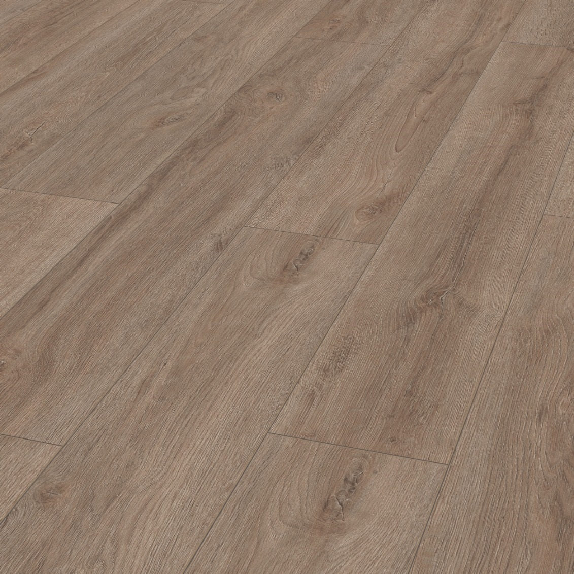 ADVANCED Grand Oak Titanium D6401
