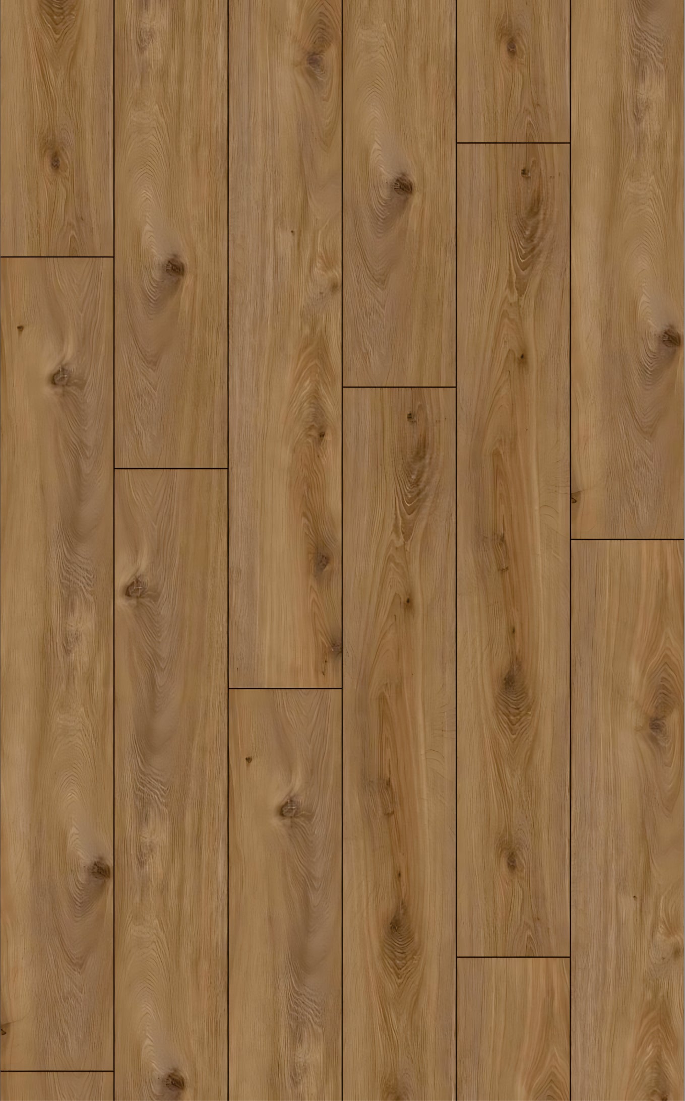 EXQUISIT  Prestige Oak Nature D4166 RMV115X185