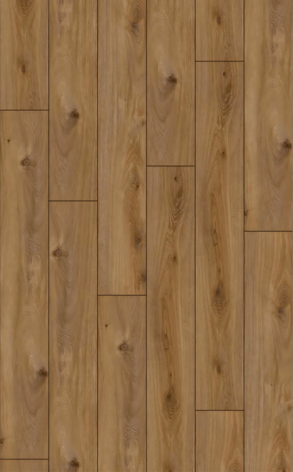 EXQUISIT  Prestige Oak Nature D4166 RMV115X185