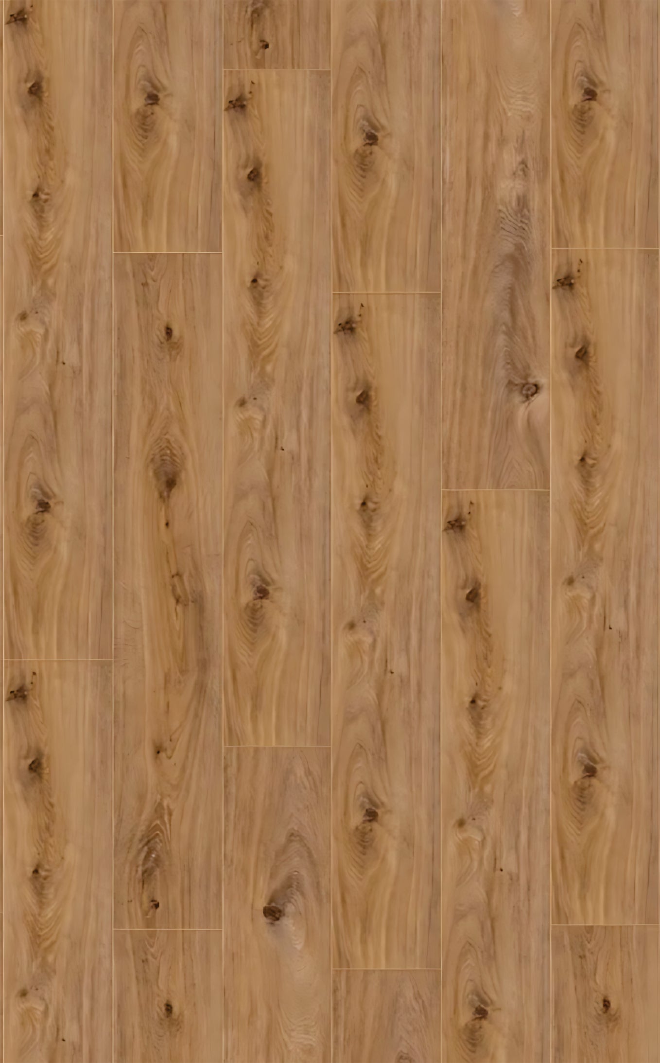 EXQUISIT  Prestige Oak Light D4169 RMV115X185