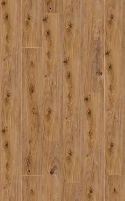 EXQUISIT  Prestige Oak Light D4169 RMV115X185