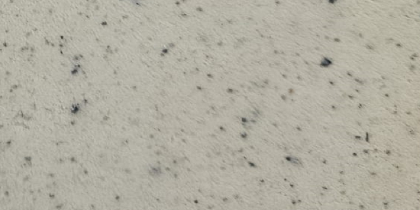 Tencuiala ACRISYL DECORA