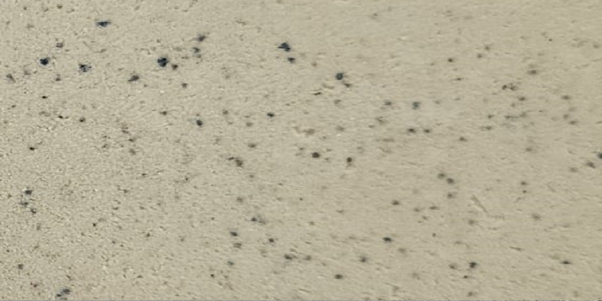 Tencuiala ACRISYL DECORA