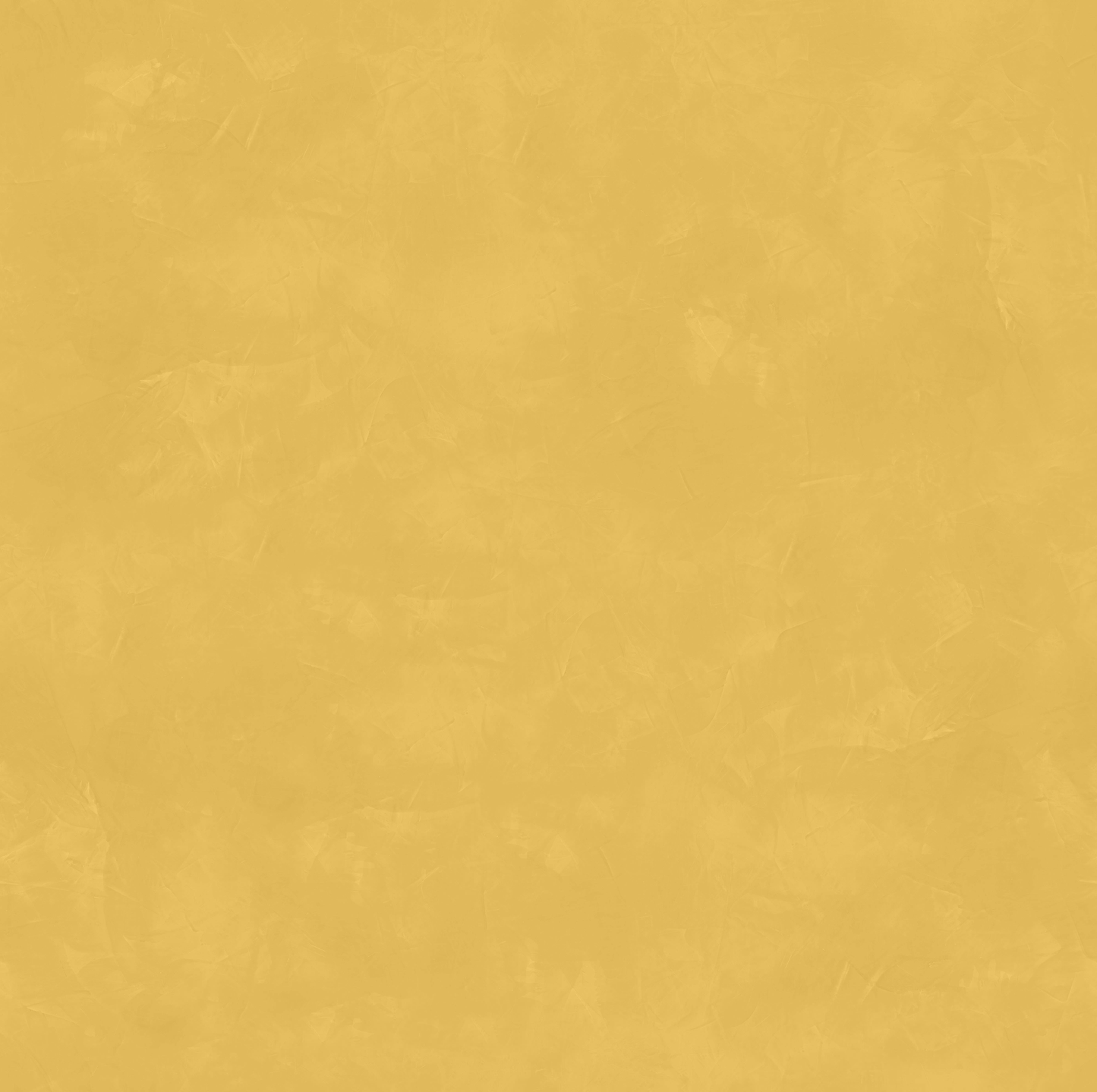 Grassello Di CALCE T-Colore Uno