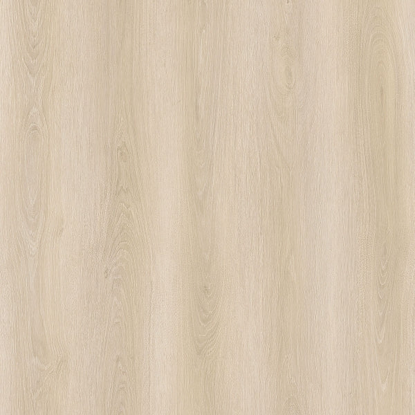 SPC GRIZZLY Bash RENACG001