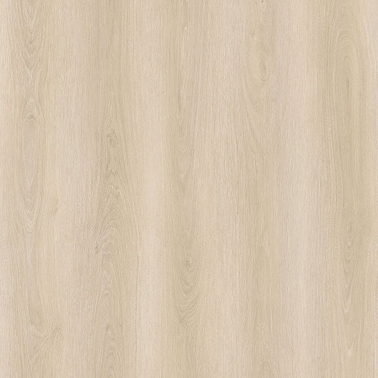 SPC GRIZZLY Bash RENACG001