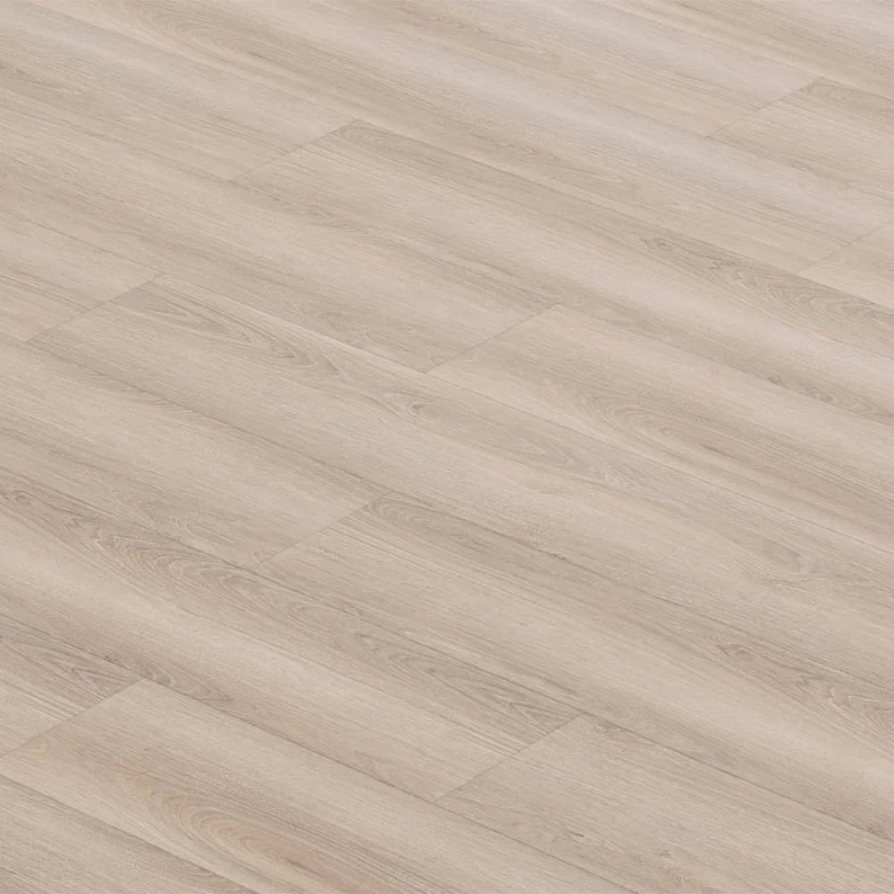 SPC GRIZZLY Fame RENACG008