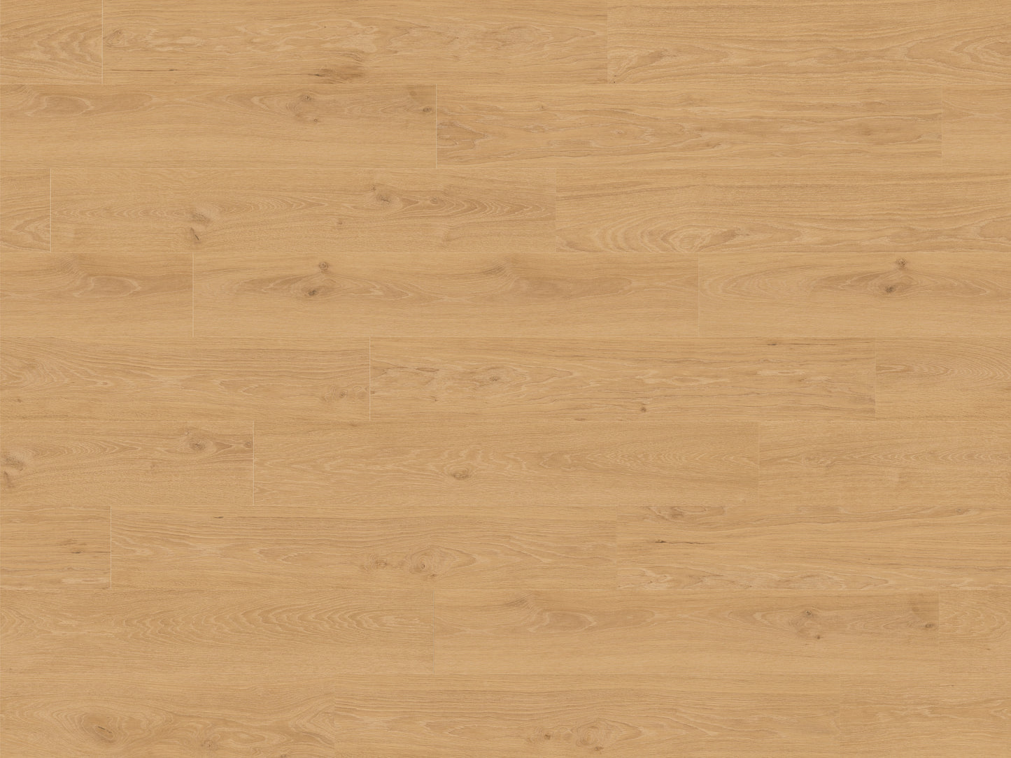 RMV180X240