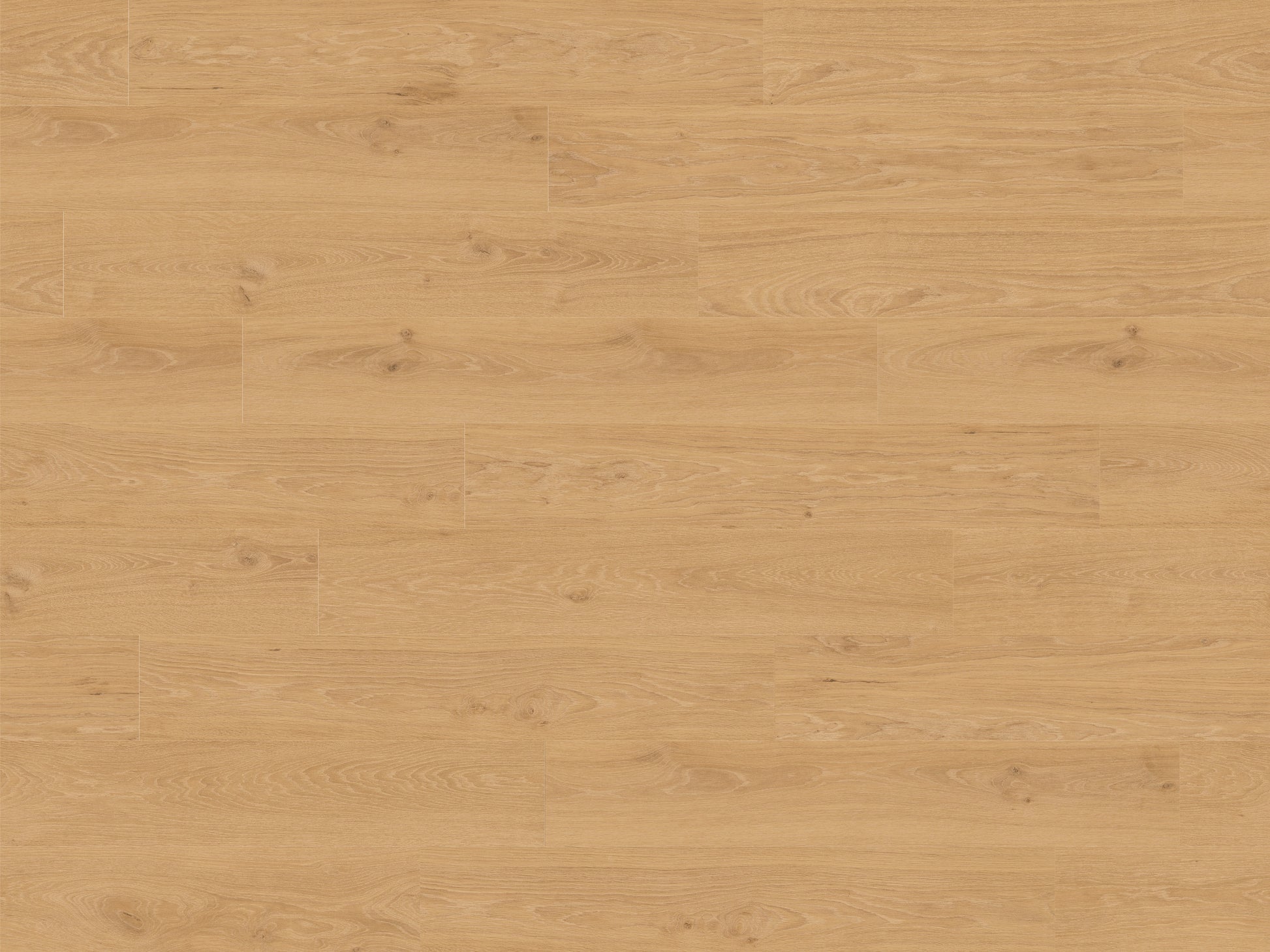 RMV180X240