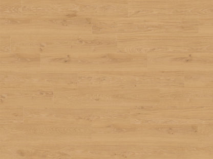RMV180X240