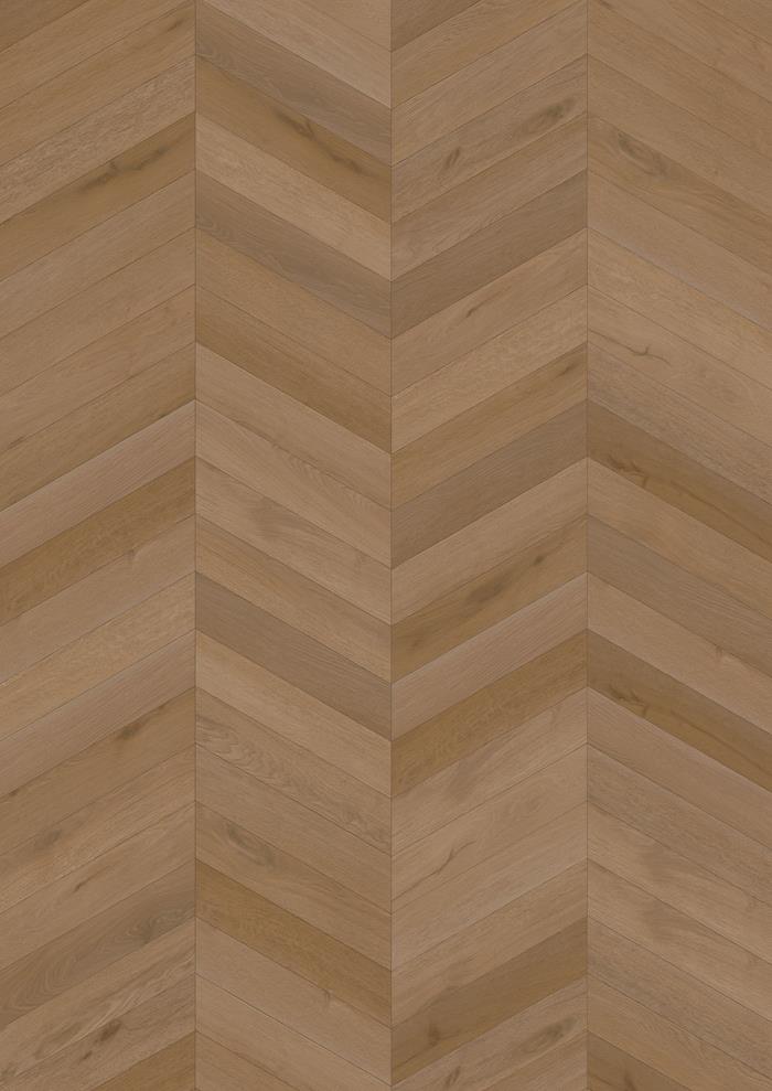 SPC INTENTION Chevron