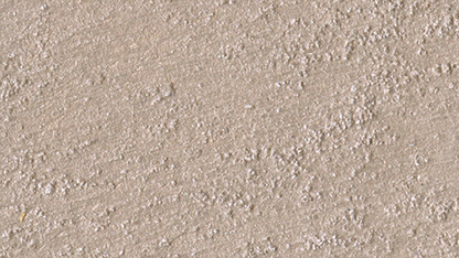 Marcopolo Sable/1 Lt.