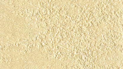 Marcopolo Sable/1 Lt.