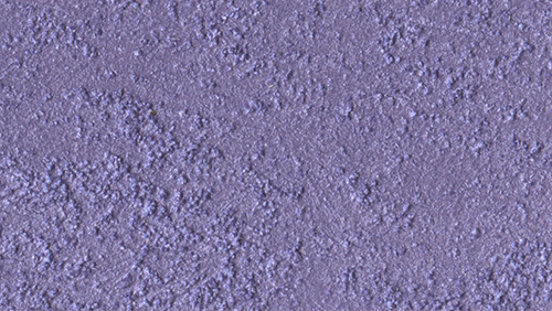 Marcopolo Sable/1 Lt.