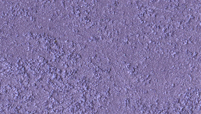 Marcopolo Sable/1 Lt.